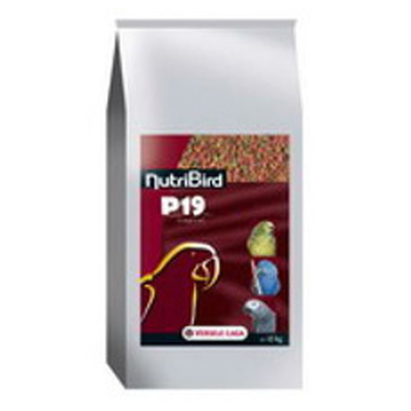 Bird Food