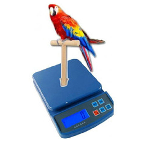 Bird Weighing Scale