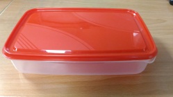 Rectangle Food Box