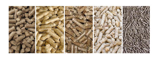 Bio Energy Kenaf Wood