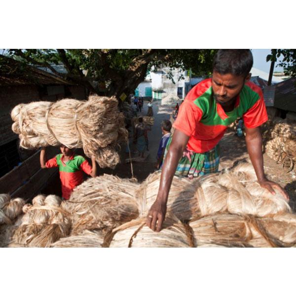 Ispahani Jute 