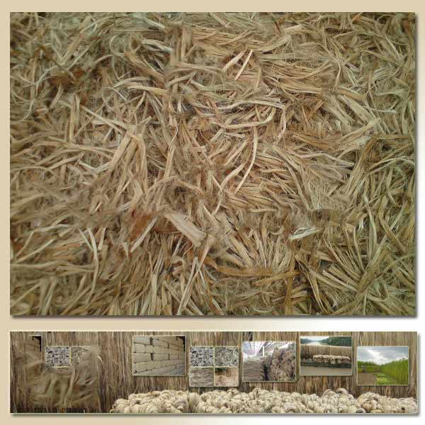 Jute Cuttings