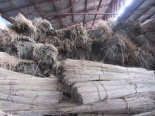 Kenaf Absorbent Boom