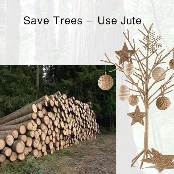 Kenaf Eco Friendly Pulp Material