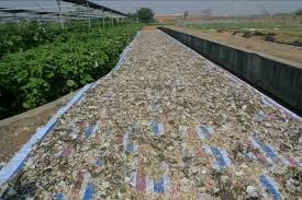 Kenaf Mushroom Grower