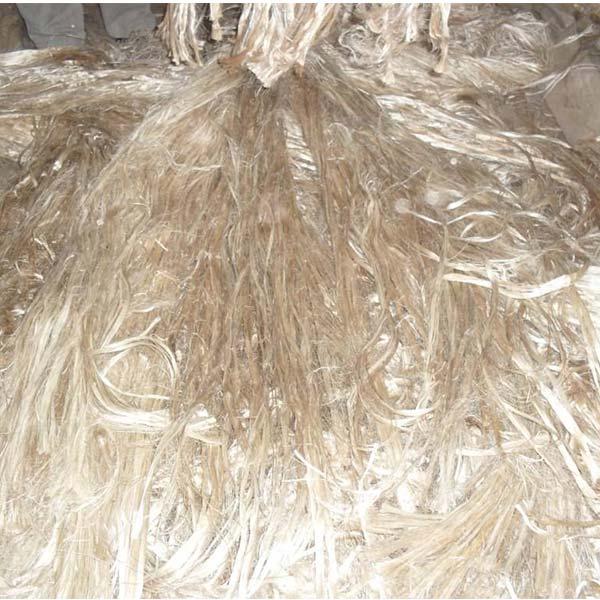Raw Jute/Jute Fiber 