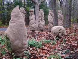 Tree Wrap (Plant protection)