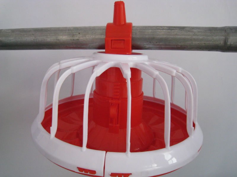  Good quality and long using life automatic chicken feeding line system