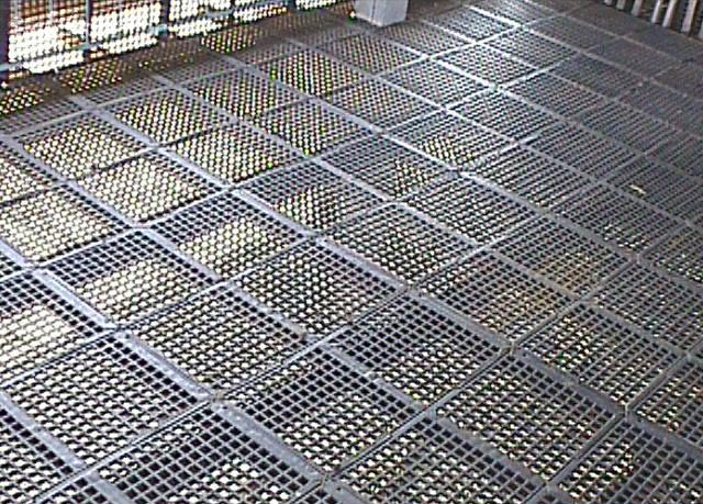 Breeding chain chain line pig feeding line