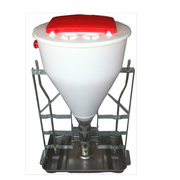 Dry-Wet Pig Feeder