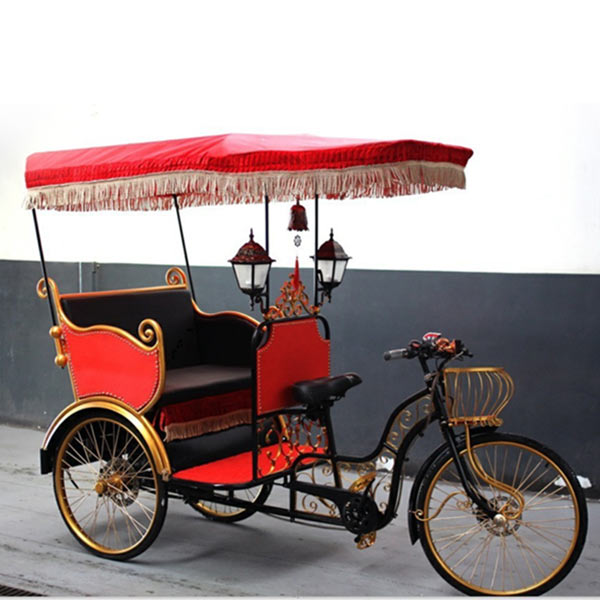 Auto Rickshaw