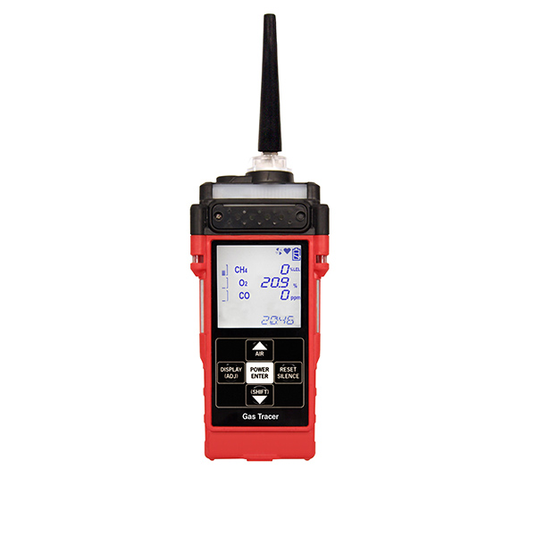 Portable Combustible Gas Detector IP67