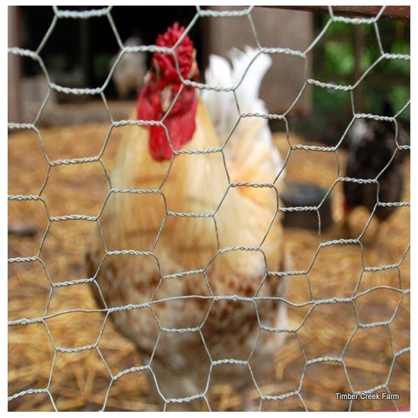 Wire Netting