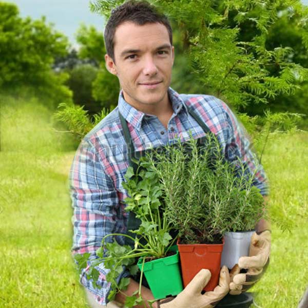  House Gardener for Saudi Arab