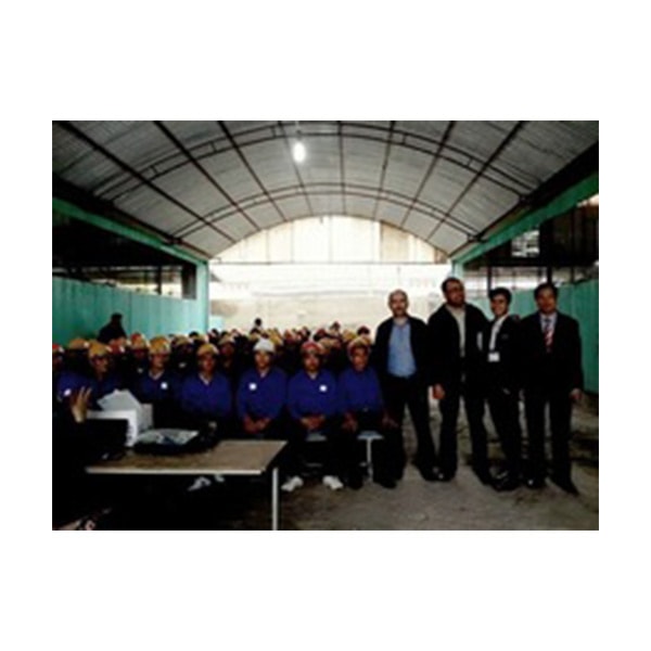 Manpower Skill