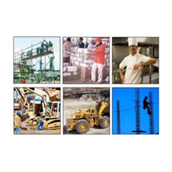 Manpower Supply