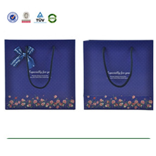 Gift Paper Bag