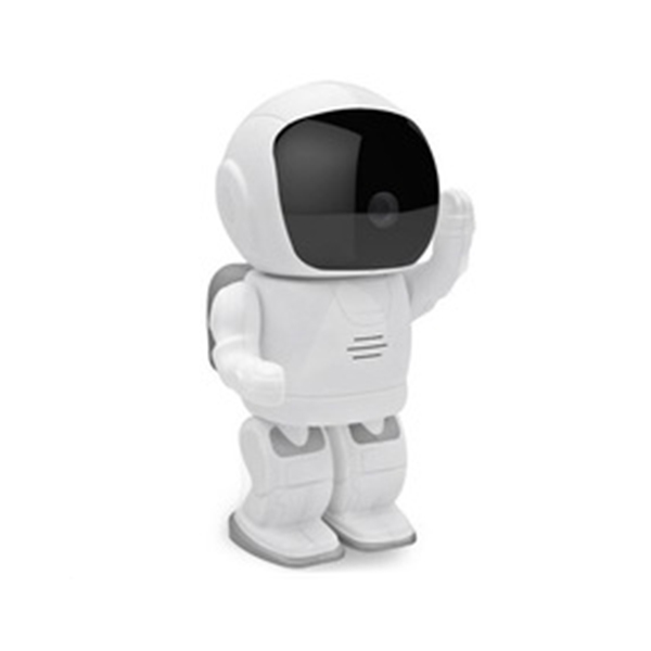 IP-Camera