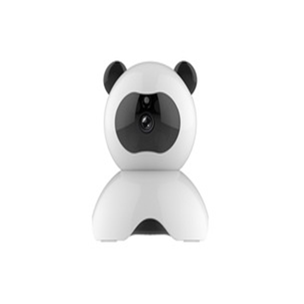 IP-Camera