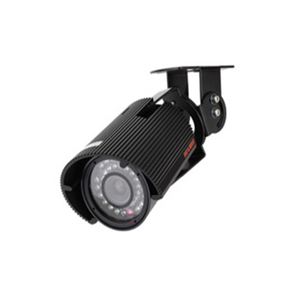 IP-Cameras