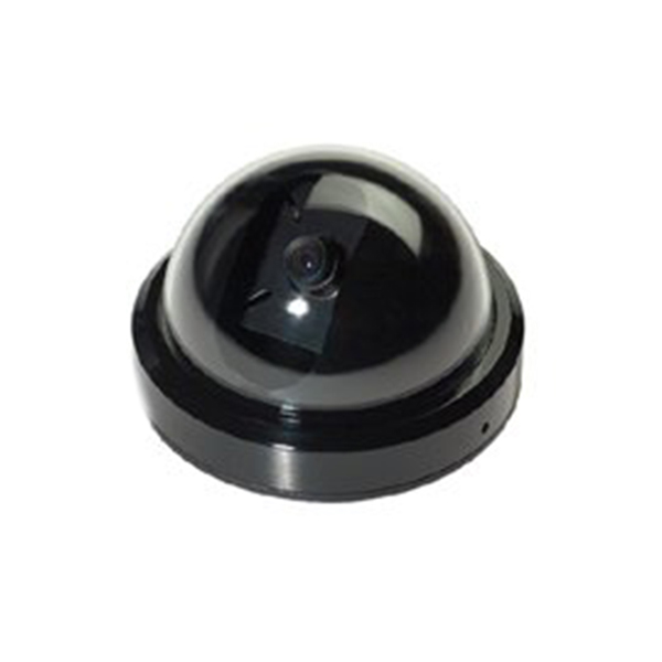 IP-Cameras