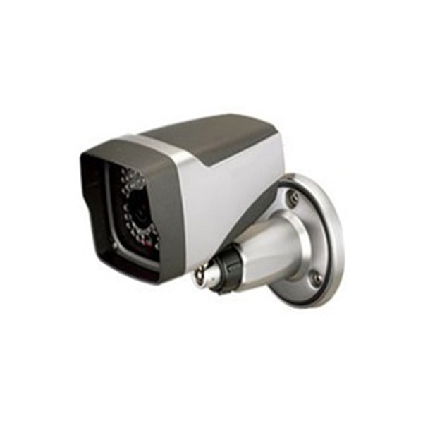 IP-Cameras