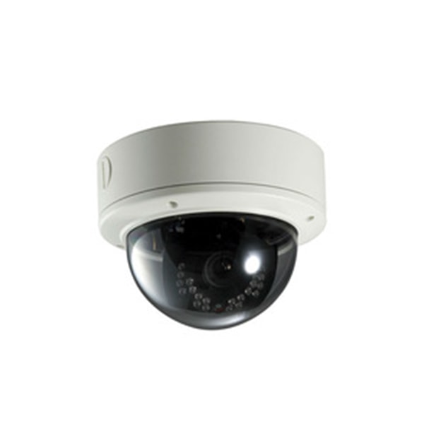IP Cemara