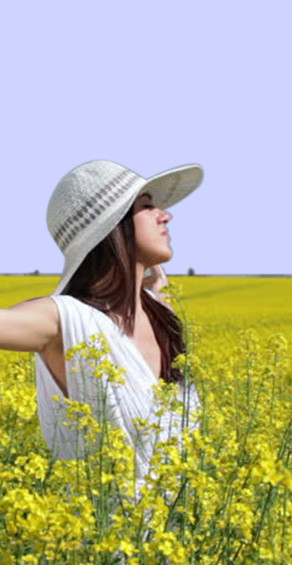 wholesale apparel fabric jpg